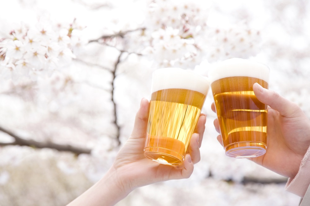 桜の木バックで乾杯