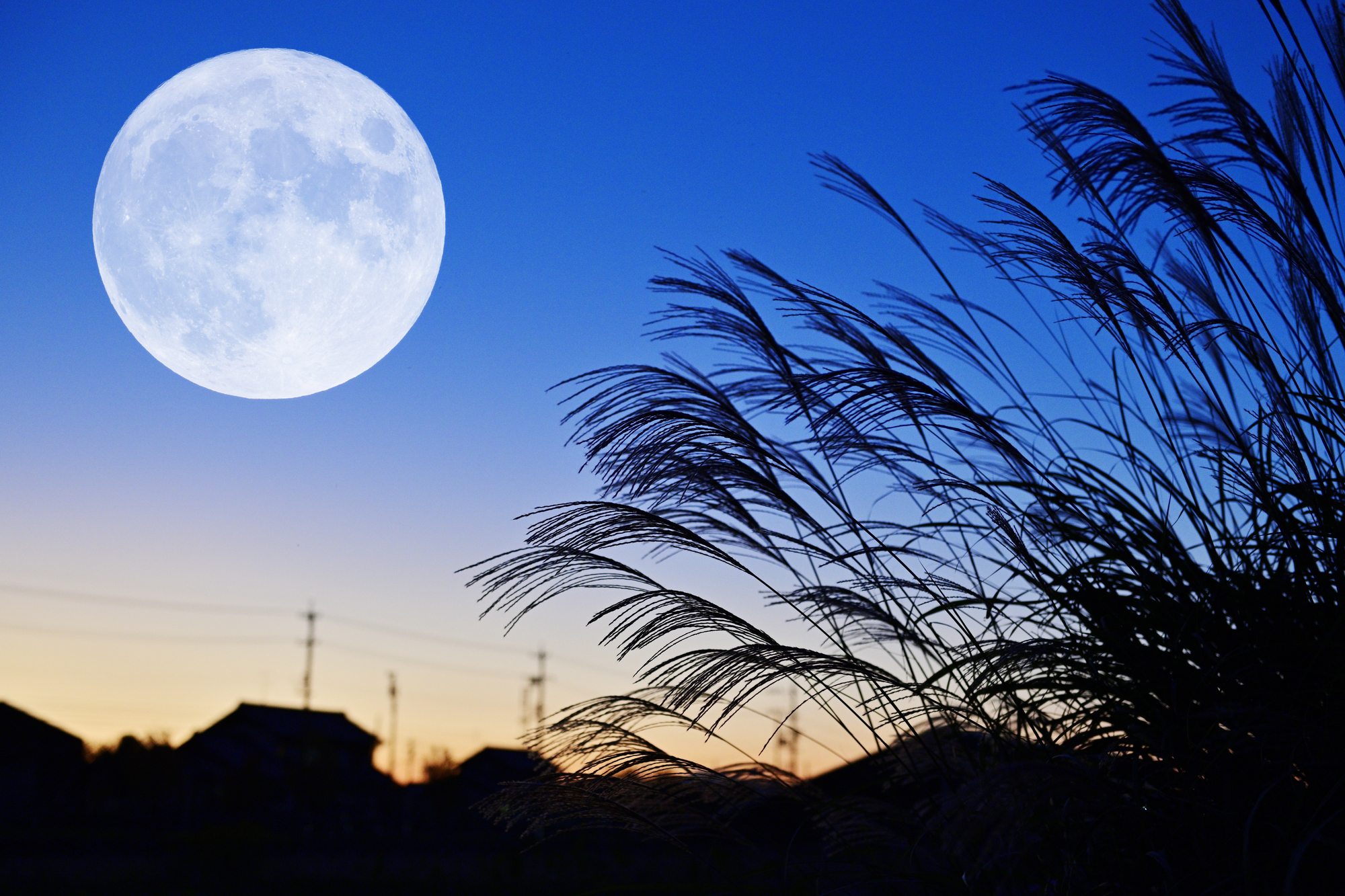 中秋の名月のイメージ