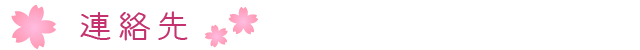 連絡先（桜）