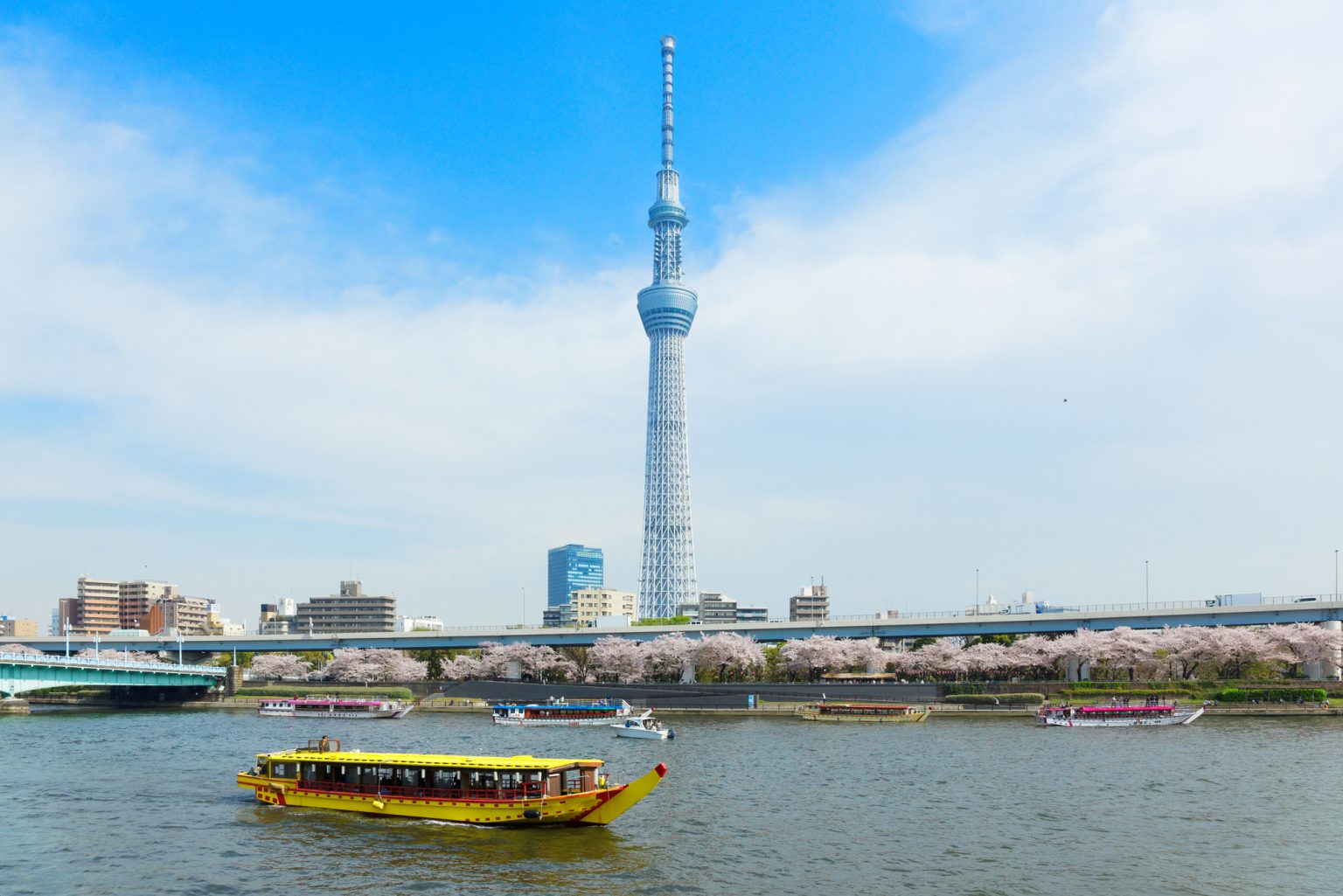 黄色い屋形船とスカイツリー