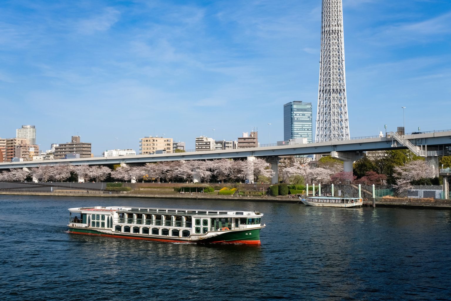 隅田川とクルーザー