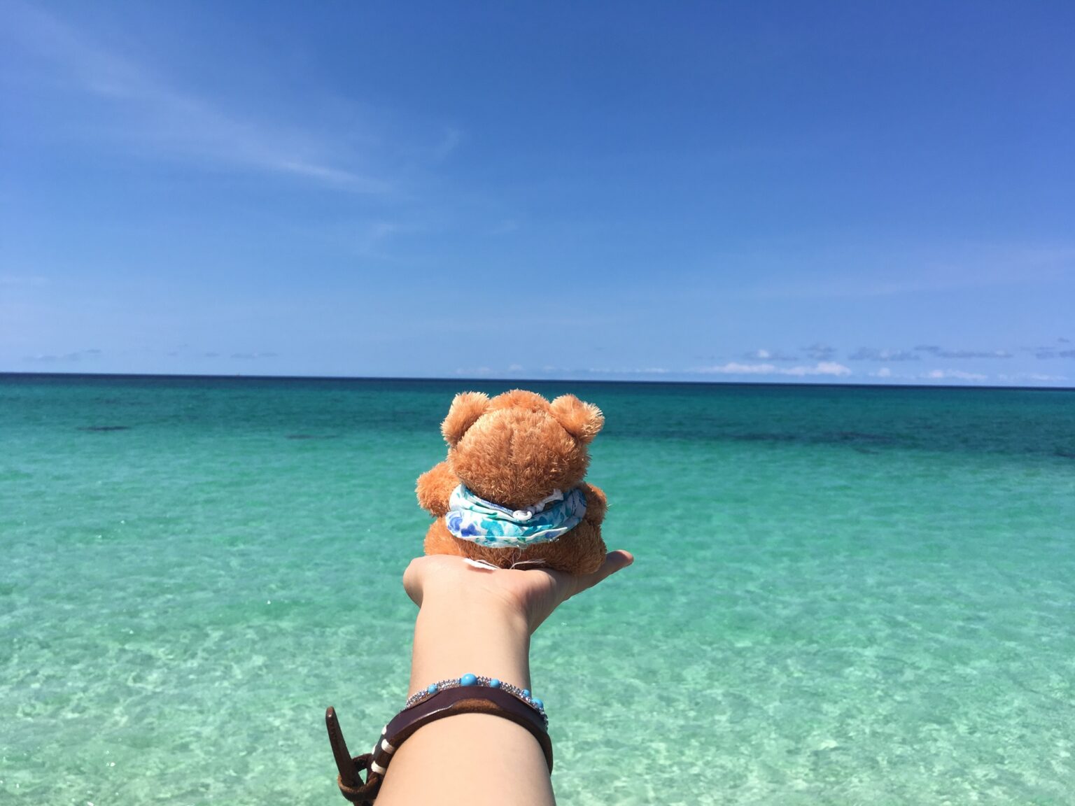 青い海とぬいぐるみ