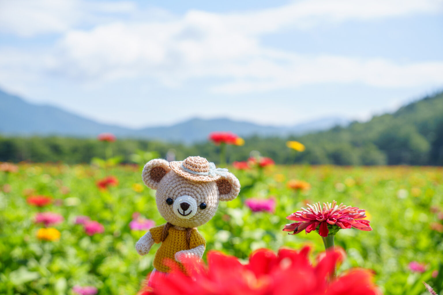 綺麗なお花とぬいぐるみ